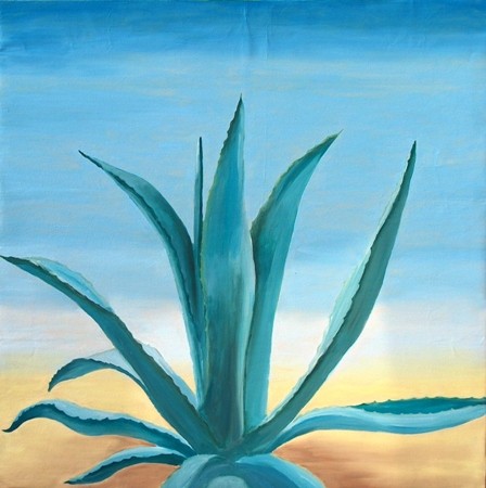 Agave 
